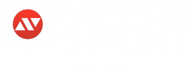 Nippon Sport logo